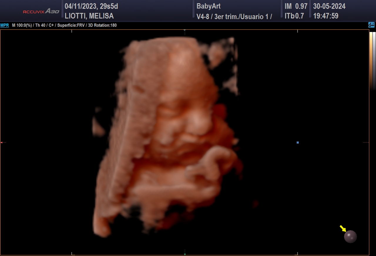 JULIA DE MELISA LIOTTI_0026.JPG